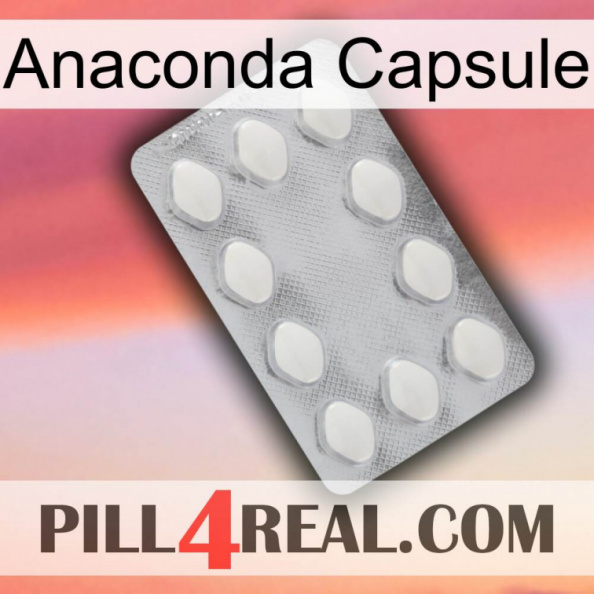 Anaconda Capsule 16.jpg